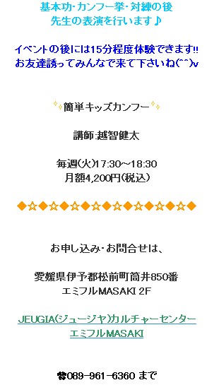 カンフー.jpg