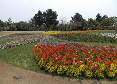 公園2.jpg