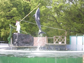 屋島いるか2.JPG