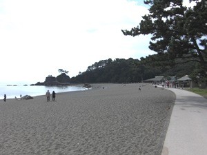 桂浜.jpg
