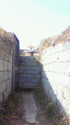 201003221512000.jpg