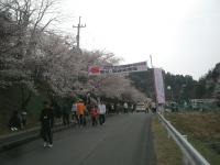 2CIMG6744.JPG
