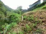 CIMG0685縮小7.jpg