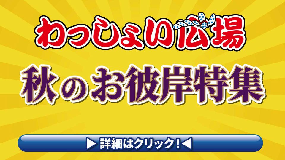 https://www.orikomi.tv/brandpanel/260917_0920_wasyoi.jpg