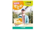 西宇和せとかのケーキ