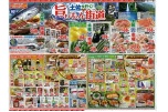 土佐を行く！旨いもん街道