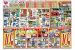 春の健康サポート特集