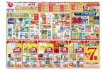 春の健康サポート特集