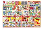 春の健康サポート特集