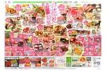 春をおいしく楽しく！お花見特集