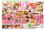 春をおいしく楽しく！お花見特集