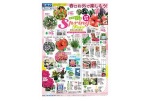 春はお外で楽しもう！Ｓｐｒｉｎｇ　Ｆａｉｒ