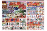 GW総力祭