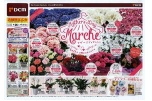 Ｍｏｔｈｅｒ’ｓＤａｙ　Ｍａｒｃｈｅ