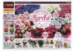 Ｍｏｔｈｅｒ’ｓＤａｙ　Ｍａｒｃｈｅ