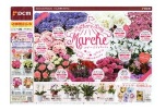 Ｍｏｔｈｅｒ’ｓＤａｙ　Ｍａｒｃｈｅ
