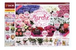 Ｍｏｔｈｅｒ’ｓＤａｙ　Ｍａｒｃｈｅ