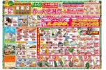 春の大感謝祭