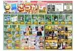 夏のざっかチラシ！