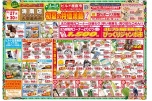 初夏の特価満載セール