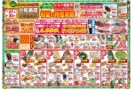 初夏の特価満載セール