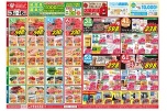 日替わりセール