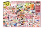 日替わりセール