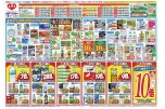 夏来たる！季節のお悩みレデイが解決！