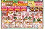 夏の大感謝祭