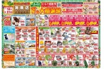 夏の大感謝祭