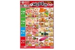ＷＥＢ号外チラシ