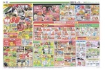 恒例フジの火曜市