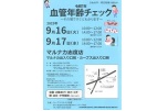 血管年齢チェック