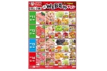 ＷＥＢ号外チラシ