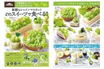 新鮮なシャインマスカット　どのスイーツで食べる？