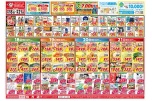今がお買い得！爆安セール！