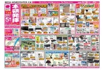 本領発揮