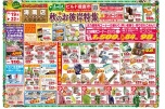 秋のお彼岸特集