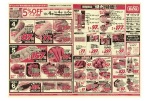 期間限定　激烈特価！！