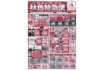 秋色特急便