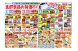 生鮮食品大特価市！