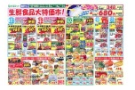 生鮮食品大特価市！
