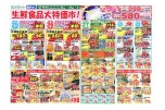 生鮮食品大特価市！