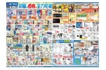 初夏を価格で全力応援