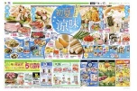 初夏の涼味