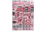 初夏の涼味フェア
