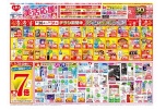 初夏の美活応援セール
