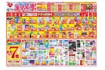 初夏の美活応援セール