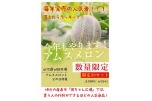 今年もやります！アムスメロン