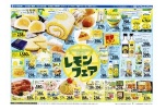 スッキリおいしい夏の味　レモンフェア
